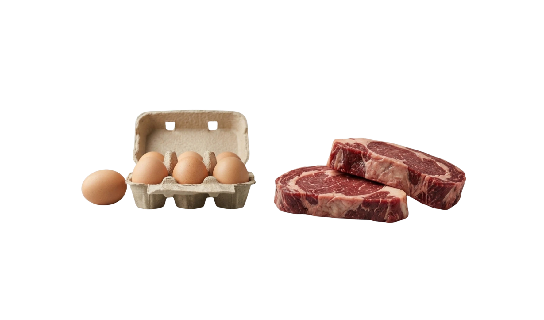 Équivalence protéique entre les pâtes Volt, les œufs et les steaks